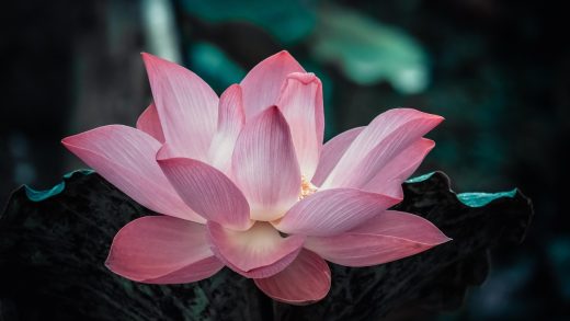 What AI Says About AI and Personal Growth