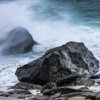 What AI Says About AI in Weather Forecasting