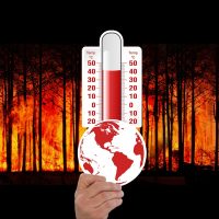 What AI Says About Climate Change Solutions