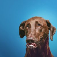 What AI Says About Digital Art Creation