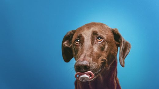 What AI Says About Digital Art Creation