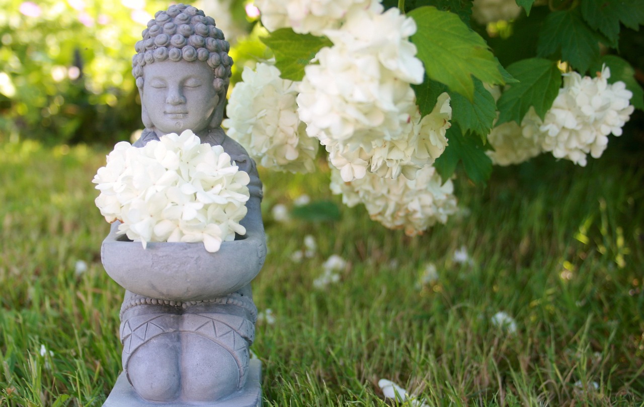 Personalised Wellness Programs