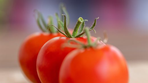 What AI Says About Food Technology Innovations