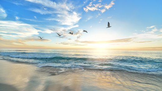 What AI Says About Ocean Conservation