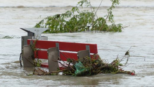 What AI Says About Predicting Natural Disasters