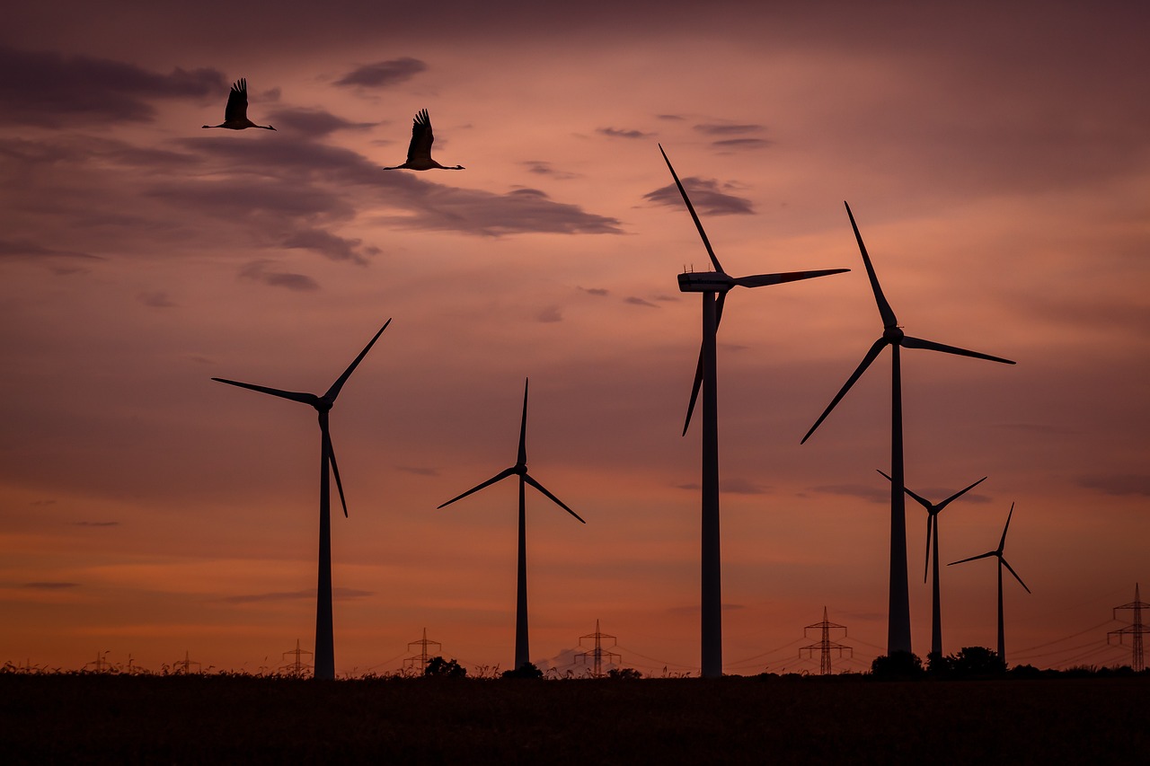 Future Outlook for Renewable Energy Careers