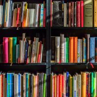 What AI Says About the Future of Education