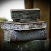 What AI Says About the Impact of Literature